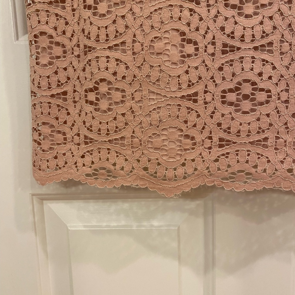 Ann Taylor Lace Shift Dress - Picture 7 of 7